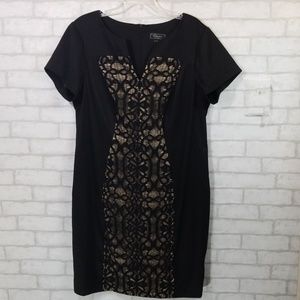 Collection dressbarn black woman dress size 16